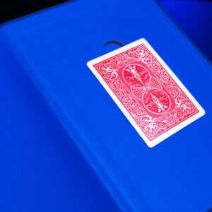 Evidence of a Well Spent Life by Helge Thun