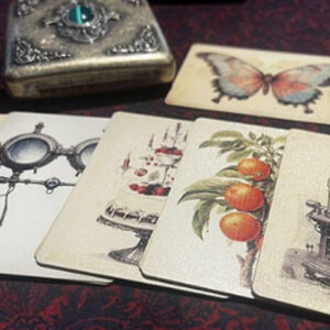 The Papilio Experiment by Dead Rebel