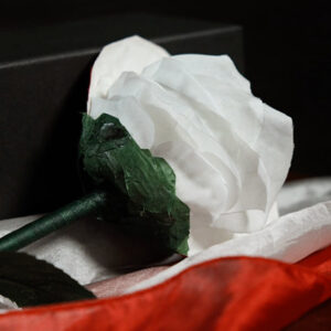 Fantasy Rose by Leon, Bond Lee & MS Magic