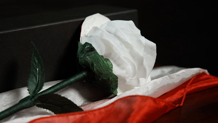 Fantasy Rose by Leon, Bond Lee & MS Magic - Imagen 2