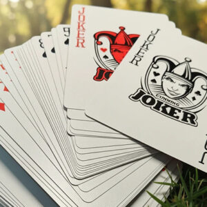 Disobedience Playing Cards by WohStudios