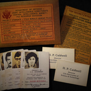 Gemini Files by Dead Rebel Magic