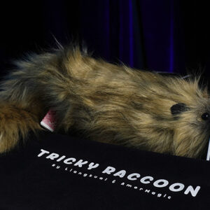 Tricky Raccoon by Liang Kuai & Amor Magic