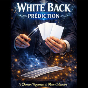 White Back Prediction by Damien Vappereau and Marc Céliandre (Blue)