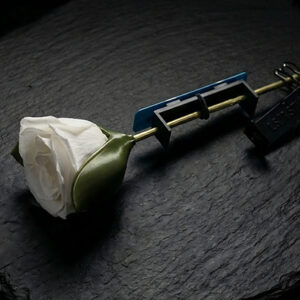 Project H: Rose Holder by J.S.M. Studio & Bacon Magic