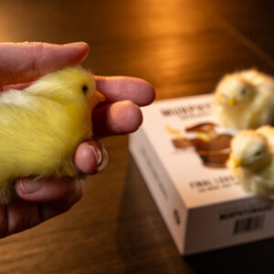 THE FINAL LOAD (Baby Chicks) by Murphy’s Magic