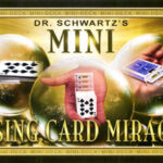 Mini Card Rise Miracle by Martin Schwartz