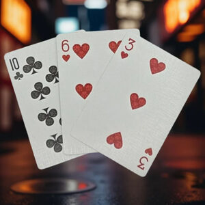 Biker Cats Playing Cards by Collectable Playing Cards