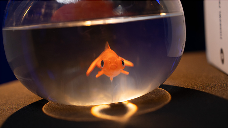 Fishbowl Production by Murphy's Magic - Imagen 4