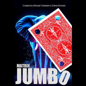 Matrix Revolution Jumbo (Red) by Mickael Chatelain