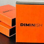 Diminish by Damian Surr