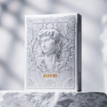 Alabaster David Luxury Playing Cards by TCC Fashion
