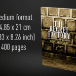 Babel Book Test 5 by Vincent Hedan (The regret factory), medium, 400 pages