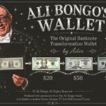 Ali Bongo’s Wallet (Brown) by Astor